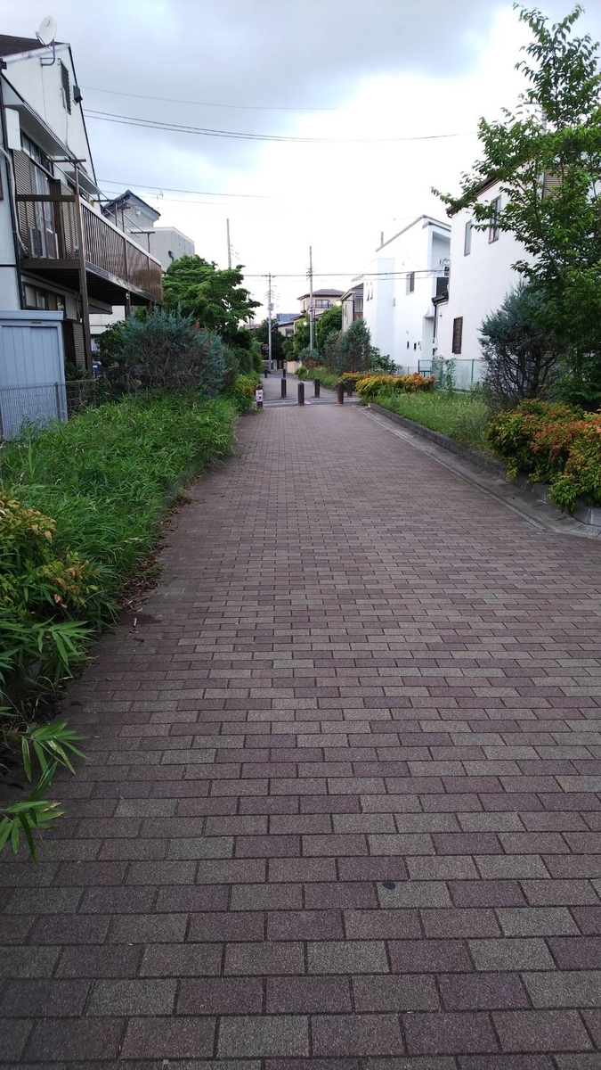 f:id:csa-home:20190719190200j:plain f:id:csa-home:20190719190200j:plain