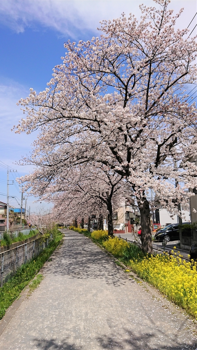 f:id:csa-home:20190719191537j:plain f:id:csa-home:20190719191537j:plain