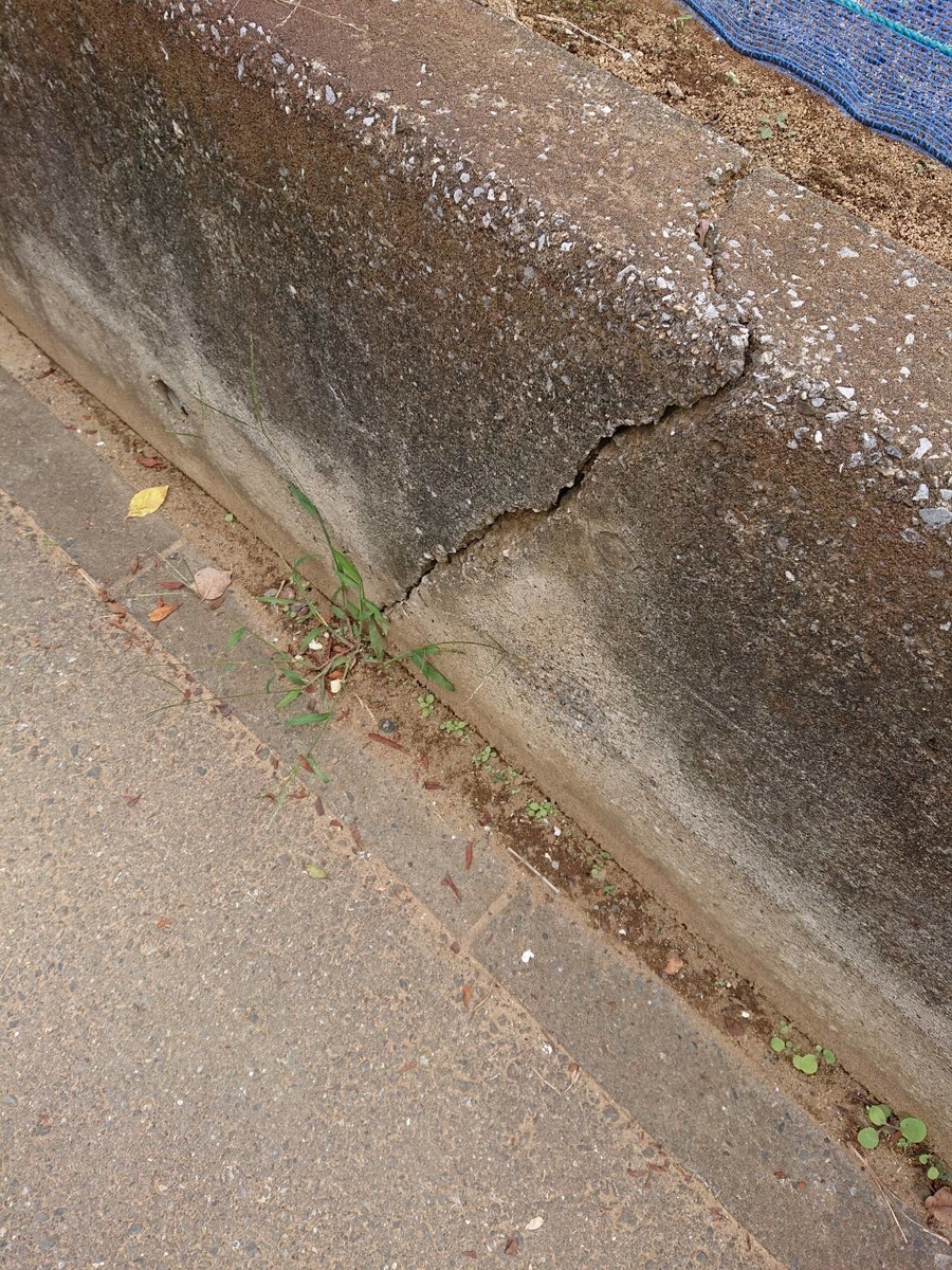 f:id:csa-home:20190719193626j:plain f:id:csa-home:20190719193626j:plain