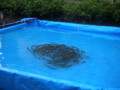 20100815121053