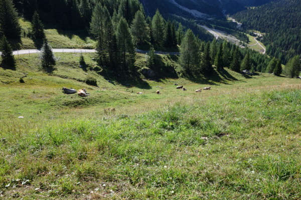 f:id:csax:20130909180137j:image:w360 f:id:csax:20130909180137j:image:w360