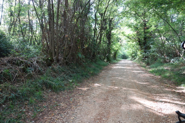 f:id:csax:20130913172011j:image:w360 f:id:csax:20130913172011j:image:w360
