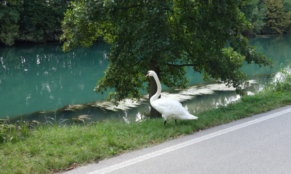 f:id:csax:20130914180753j:image:w360 f:id:csax:20130914180753j:image:w360