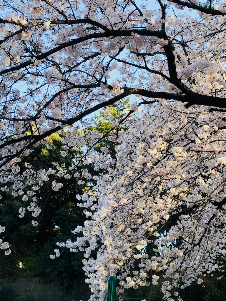 f:id:csbeaute:20180324012142j:image