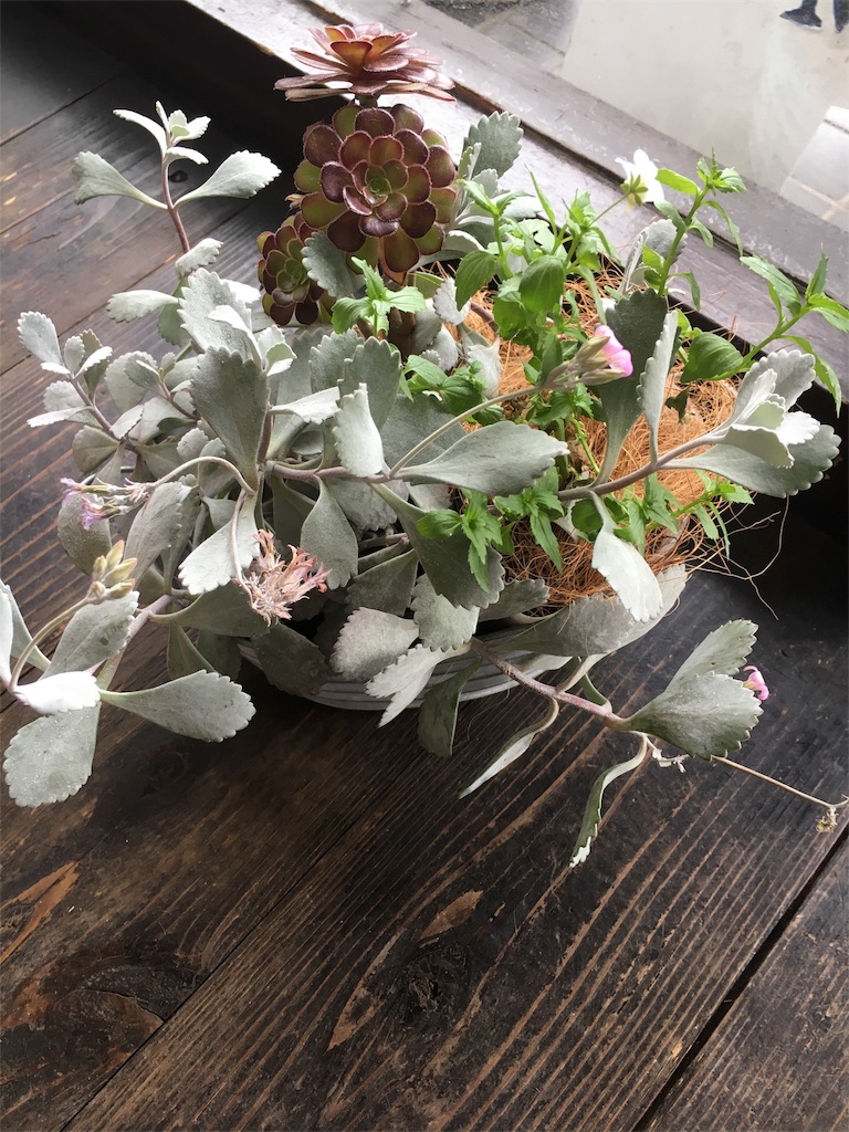 f:id:csbeaute:20180517144945j:image