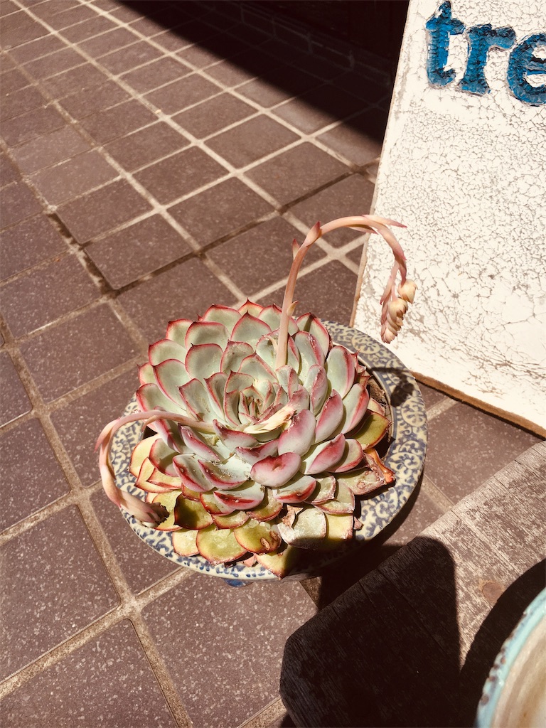 f:id:csbeaute:20190414001831j:image