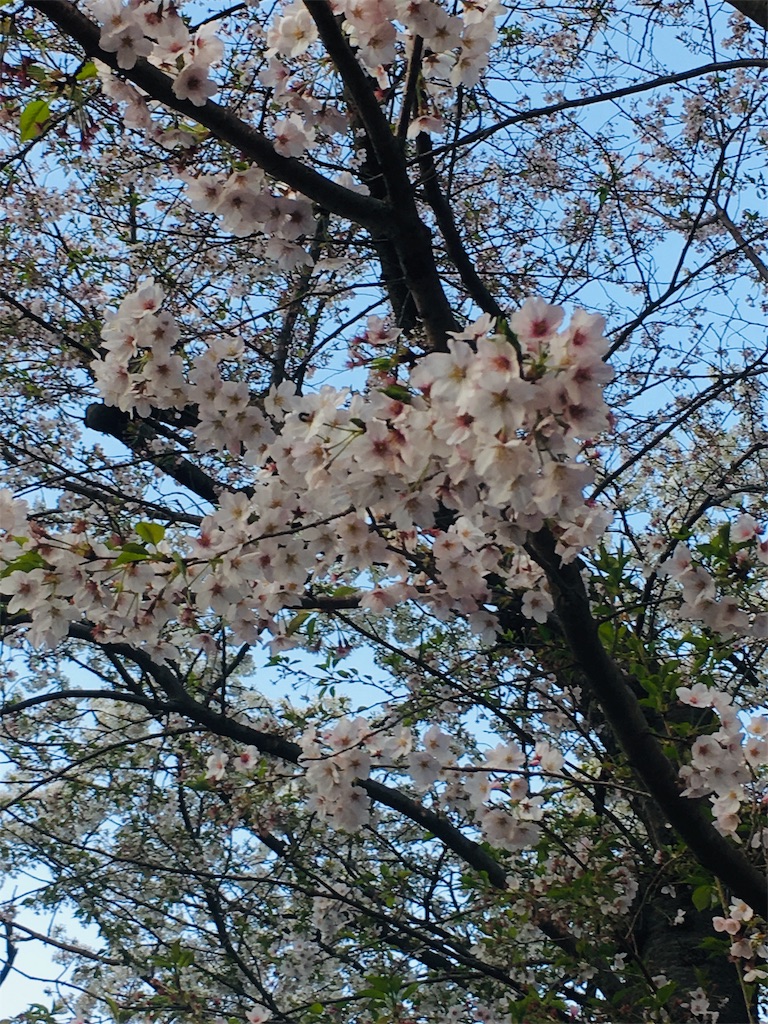 f:id:csbeaute:20190414002103j:image