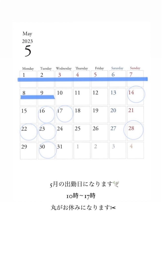 f:id:csbeaute:20230423180201j:image