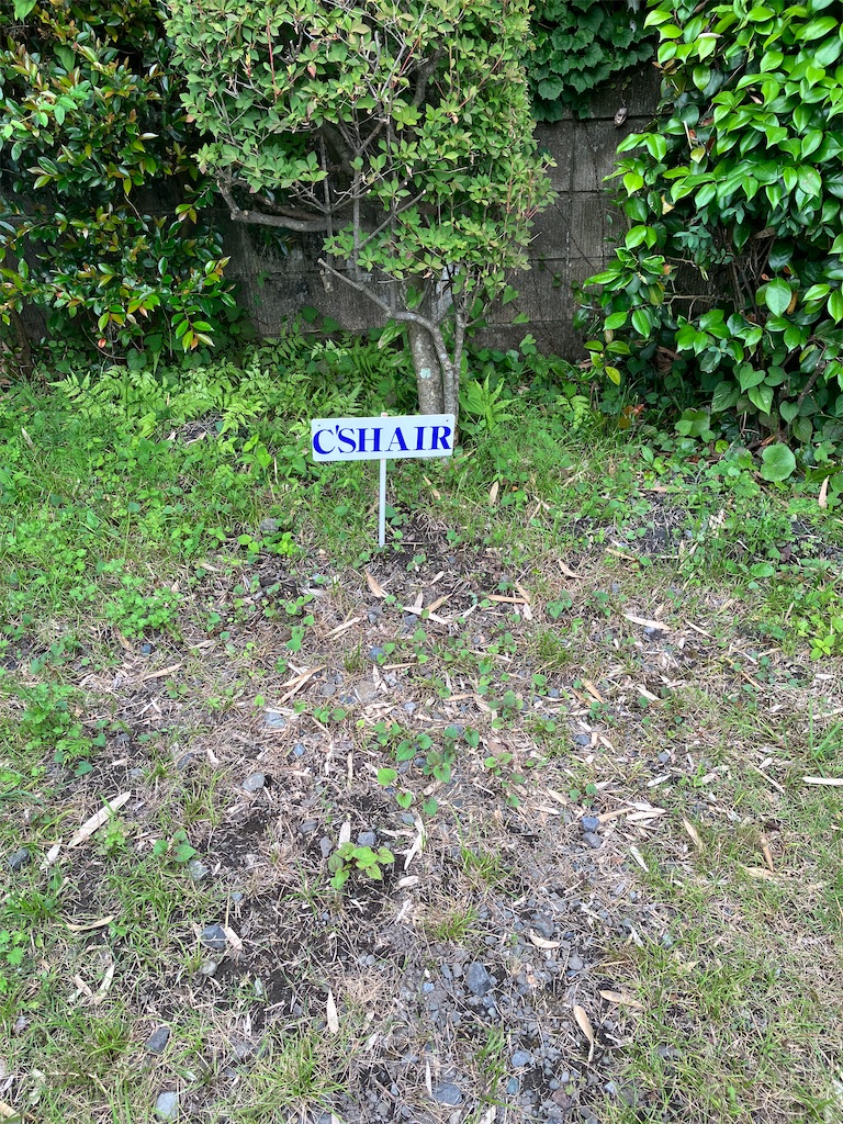 f:id:csbeaute:20230624115649j:image