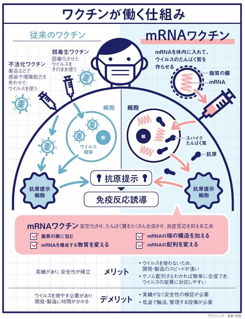 f:id:cscscscs:20230513141531j:image