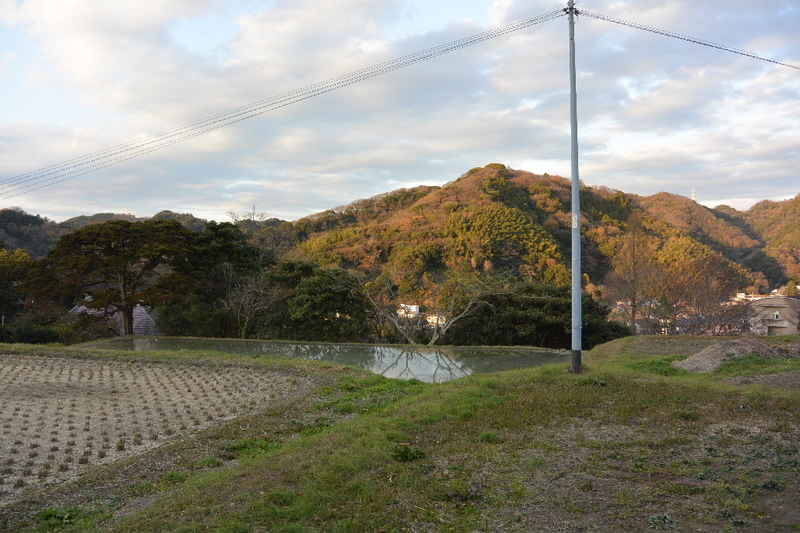 イメージ 3
