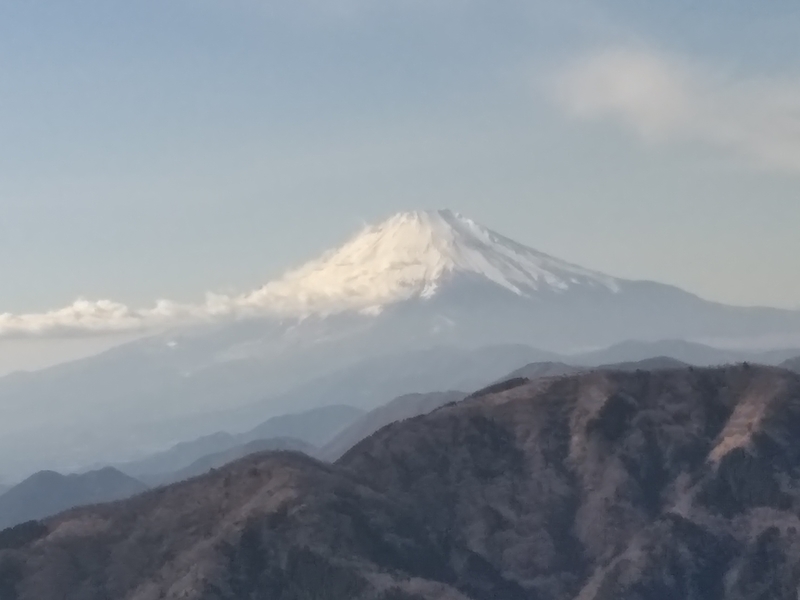 イメージ 5