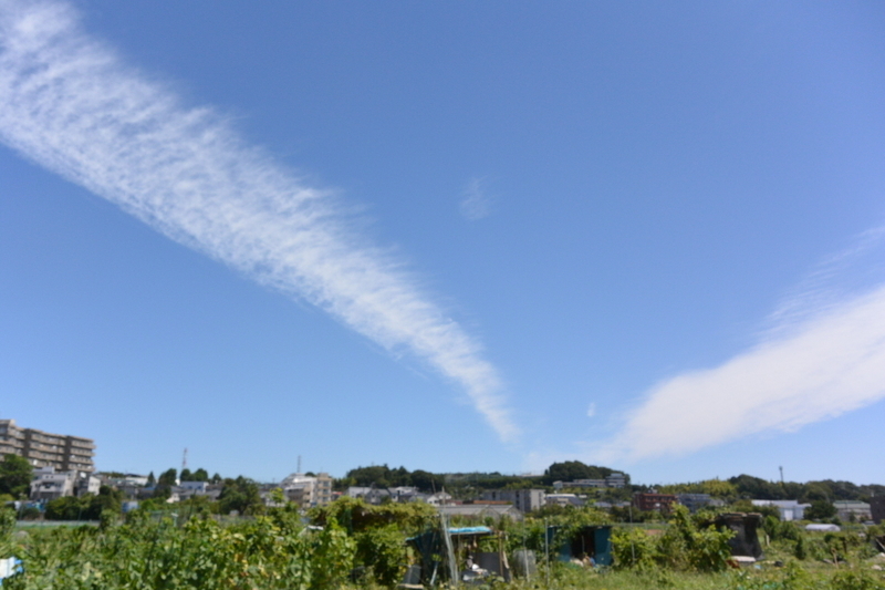 イメージ 5