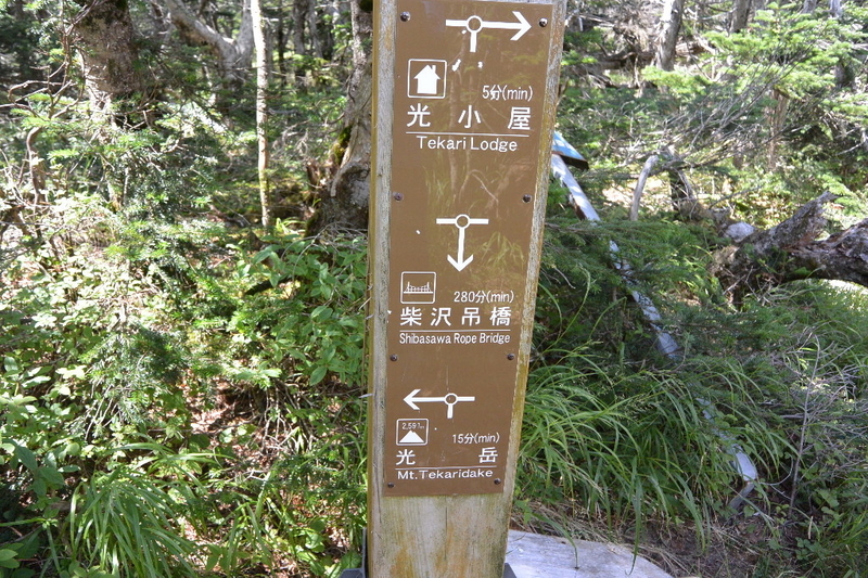 イメージ 7