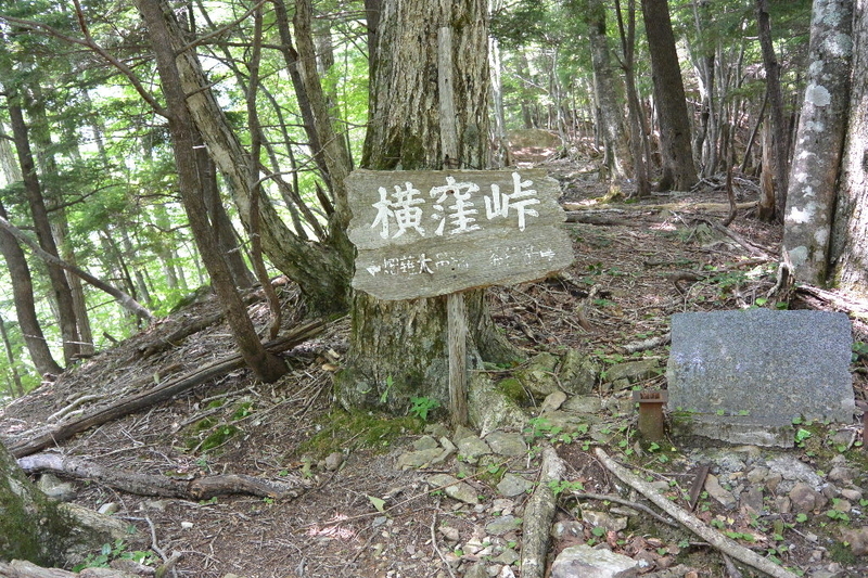 イメージ 4