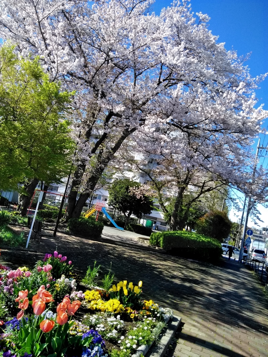 f:id:cskdm933:20190411092037j:plain