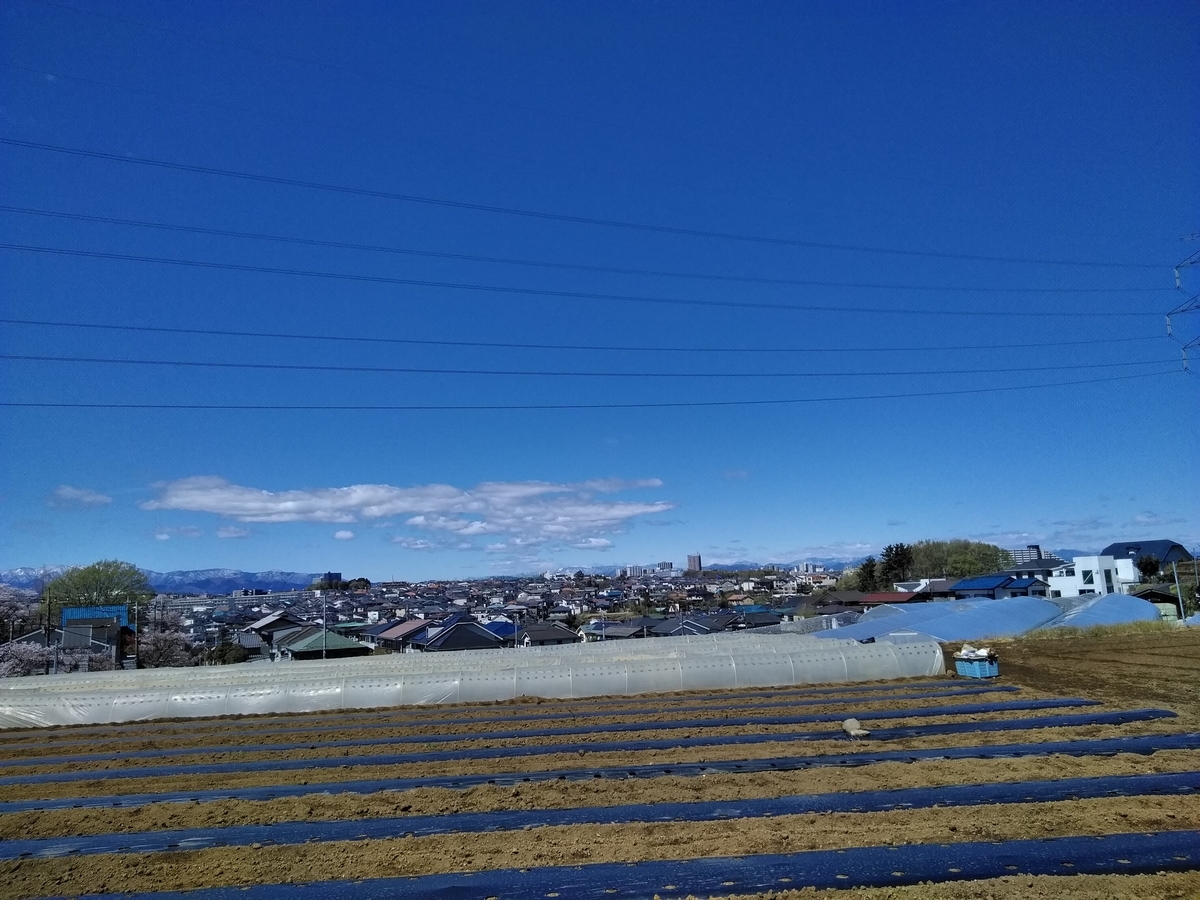 f:id:cskdm933:20190411221922j:plain