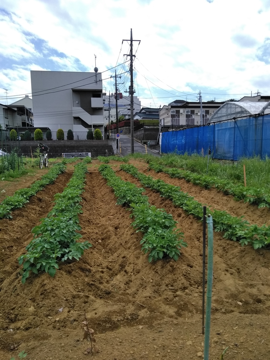 f:id:cskdm933:20190507163234j:plain