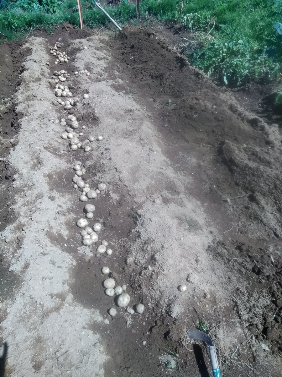 f:id:cskdm933:20190616190216j:plain