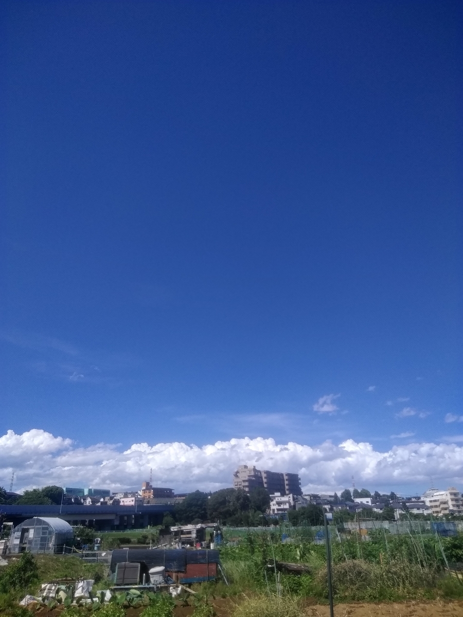 f:id:cskdm933:20190616190357j:plain