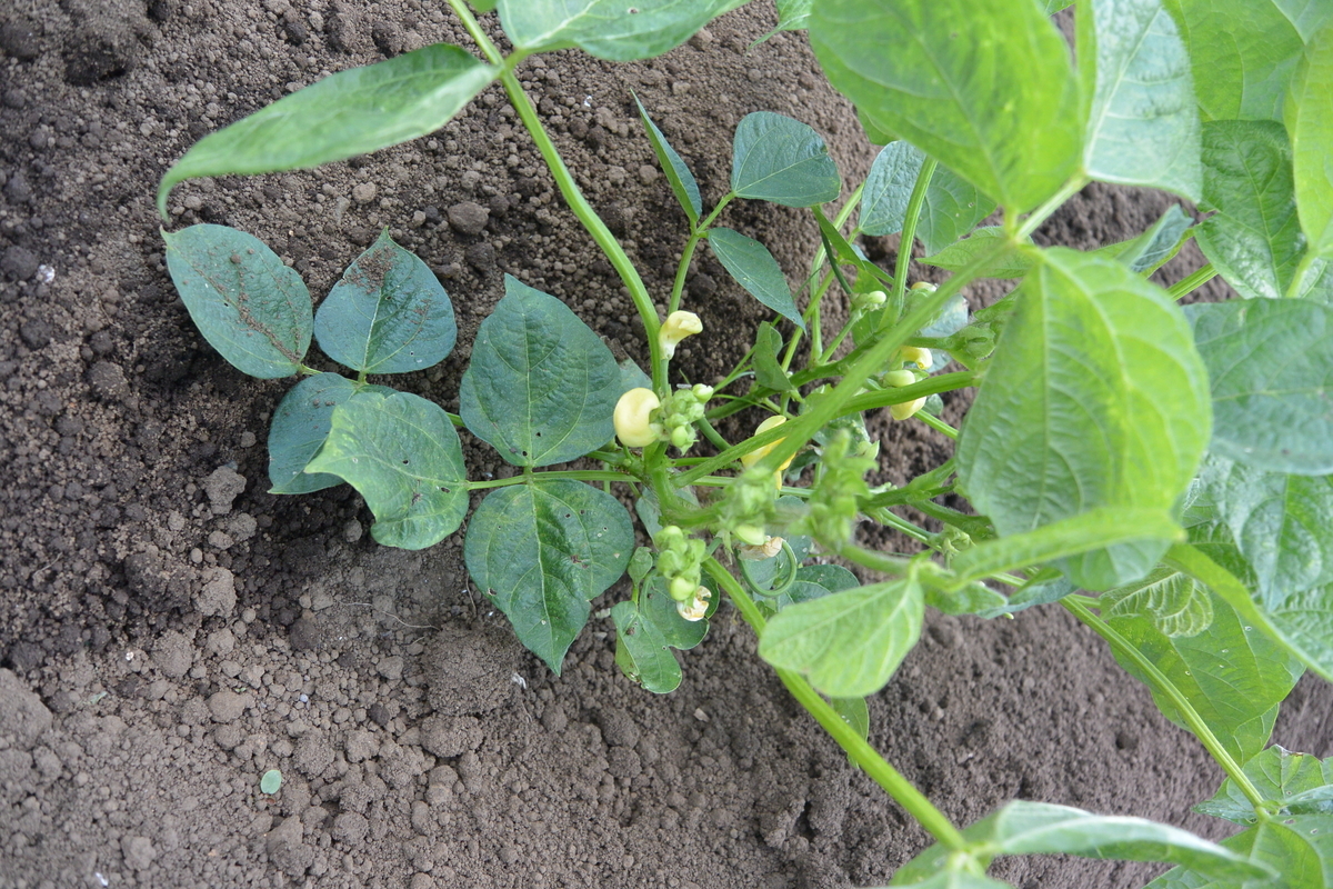 f:id:cskdm933:20190618203143j:plain