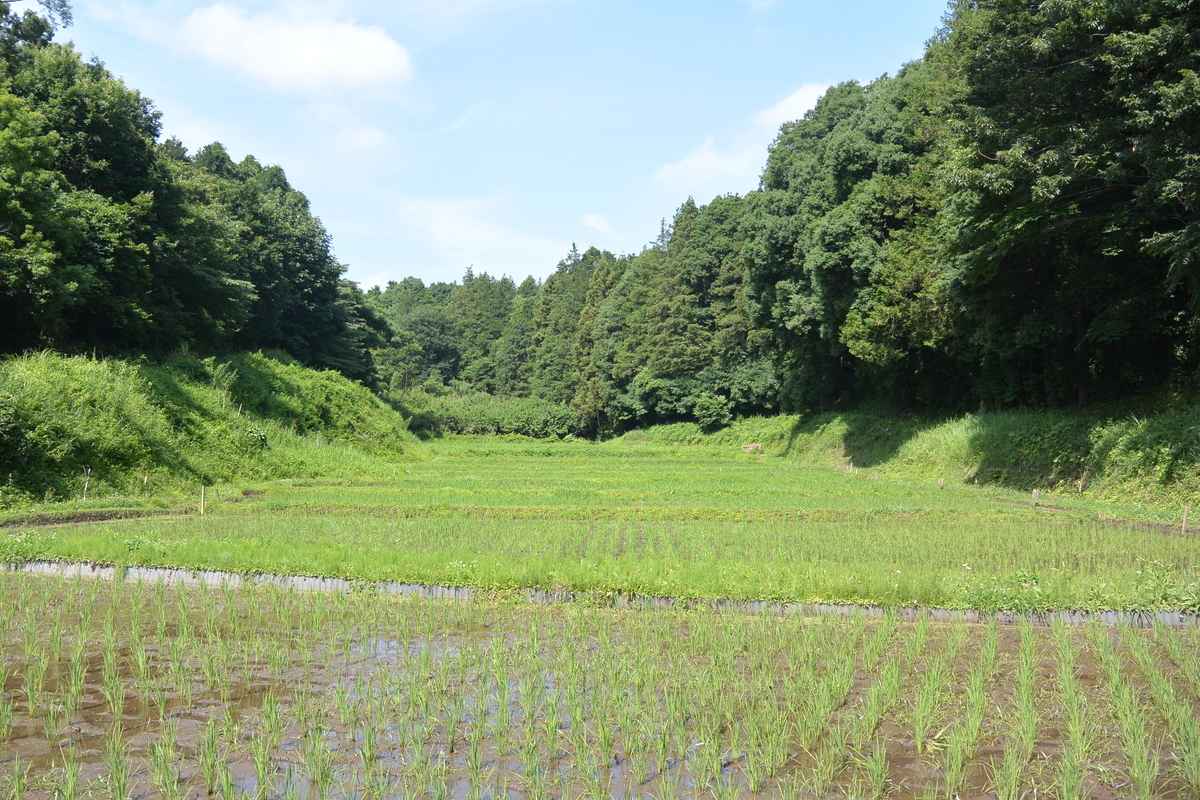 f:id:cskdm933:20190626212051j:plain