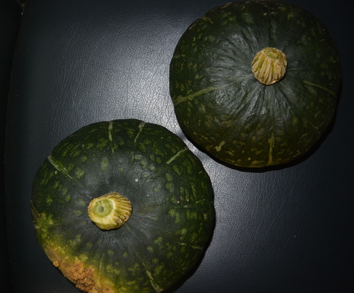 f:id:cskdm933:20190804214225j:plain f:id:cskdm933:20190804214225j:plain