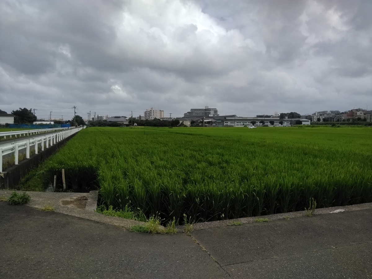 f:id:cskdm933:20190815153837j:plain