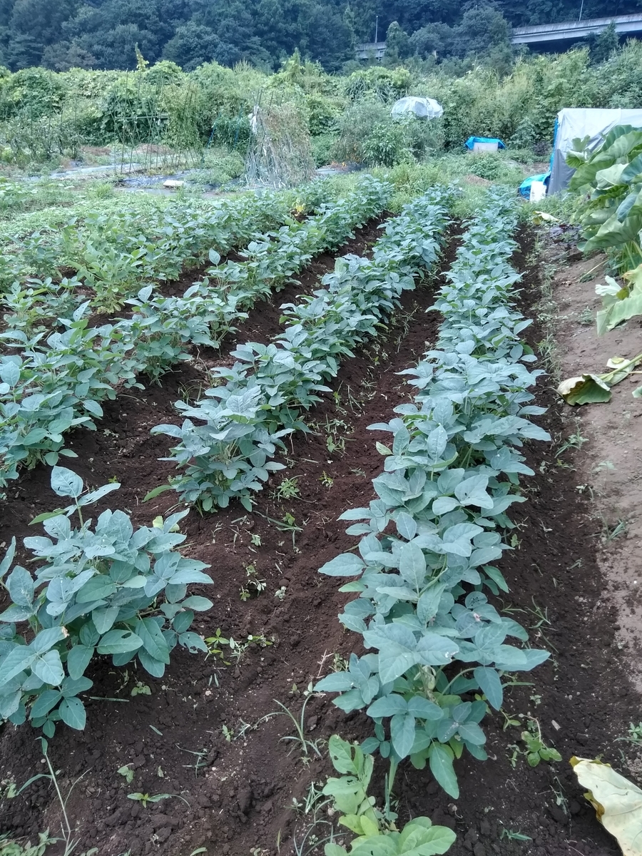 f:id:cskdm933:20190905213025j:plain f:id:cskdm933:20190905213025j:plain