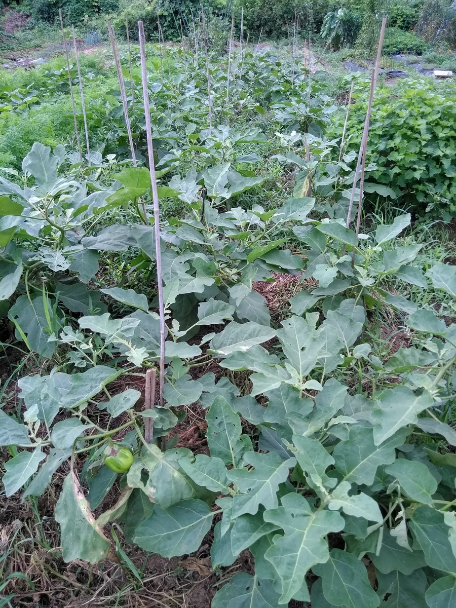 f:id:cskdm933:20190905213454j:plain f:id:cskdm933:20190905213454j:plain