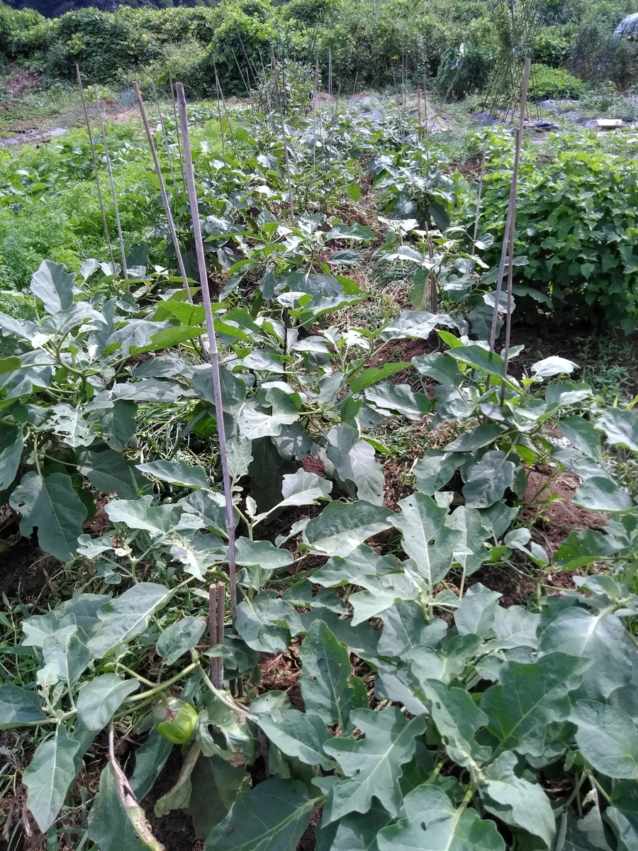 f:id:cskdm933:20190905213607j:plain f:id:cskdm933:20190905213607j:plain