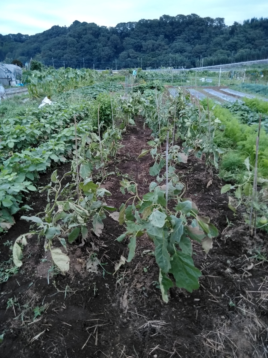 f:id:cskdm933:20190915195734j:plain f:id:cskdm933:20190915195734j:plain