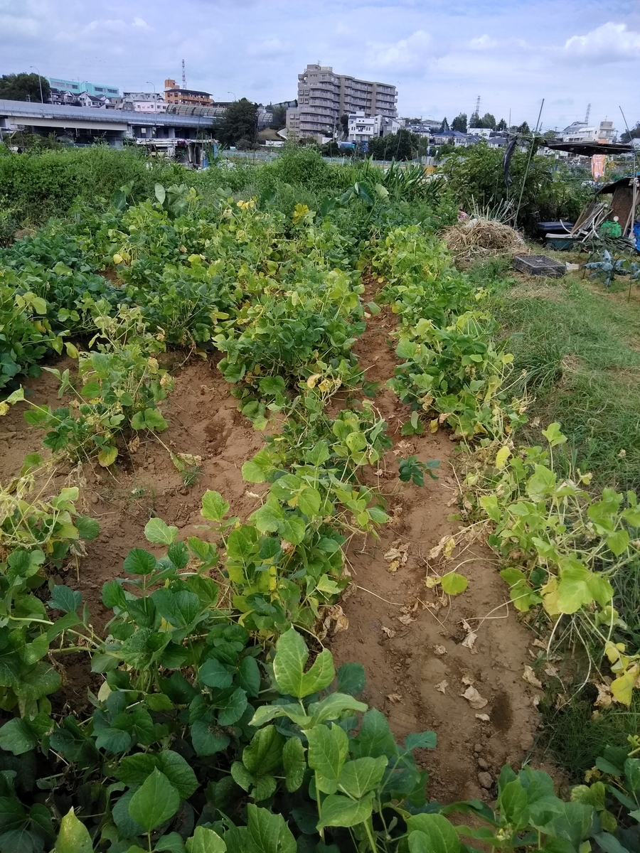 f:id:cskdm933:20191004100924j:plain