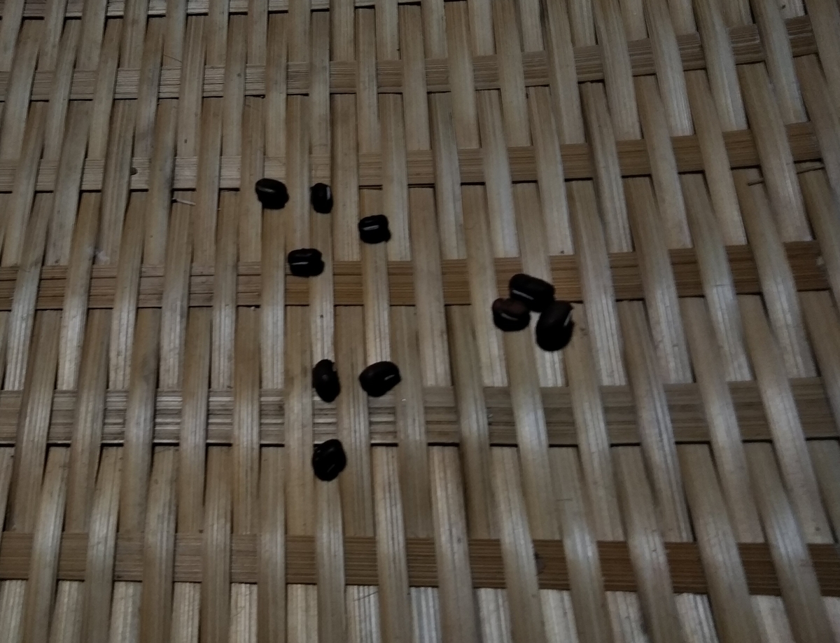 f:id:cskdm933:20191027173241j:plain f:id:cskdm933:20191027173241j:plain