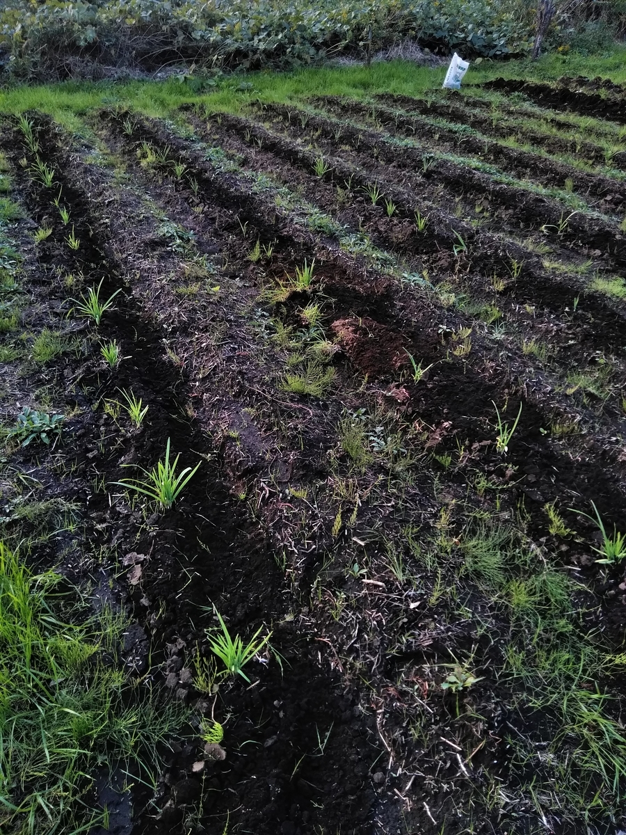 f:id:cskdm933:20191030170639j:plain f:id:cskdm933:20191030170639j:plain