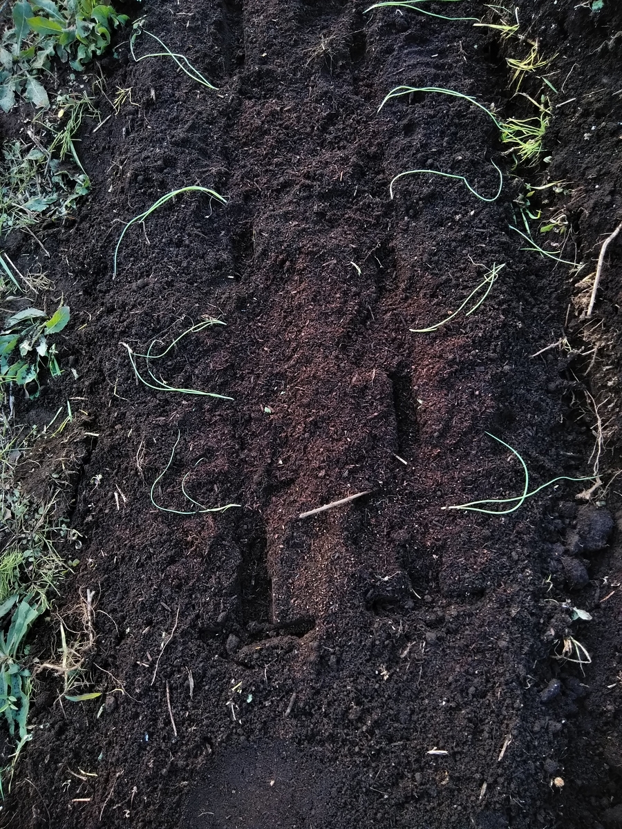 f:id:cskdm933:20191030170706j:plain f:id:cskdm933:20191030170706j:plain