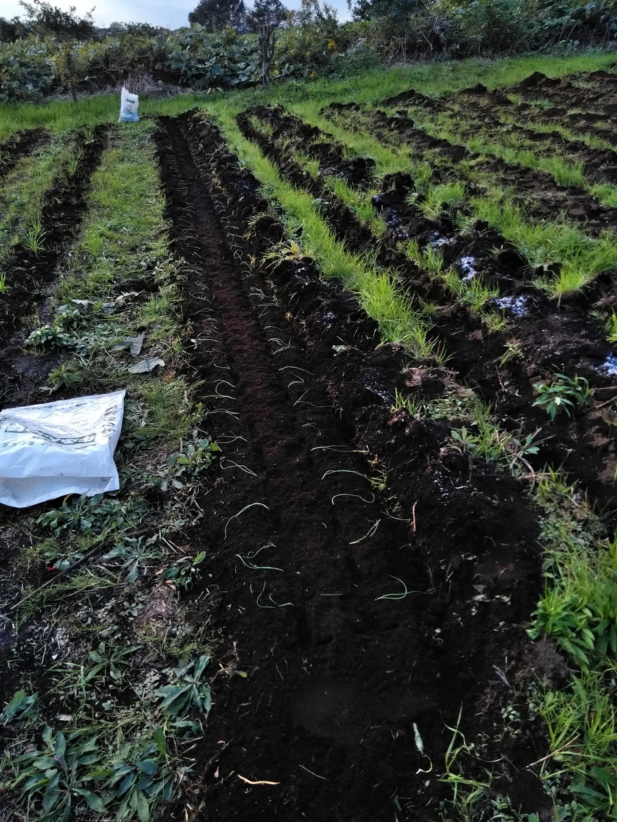 f:id:cskdm933:20191030170729j:plain f:id:cskdm933:20191030170729j:plain