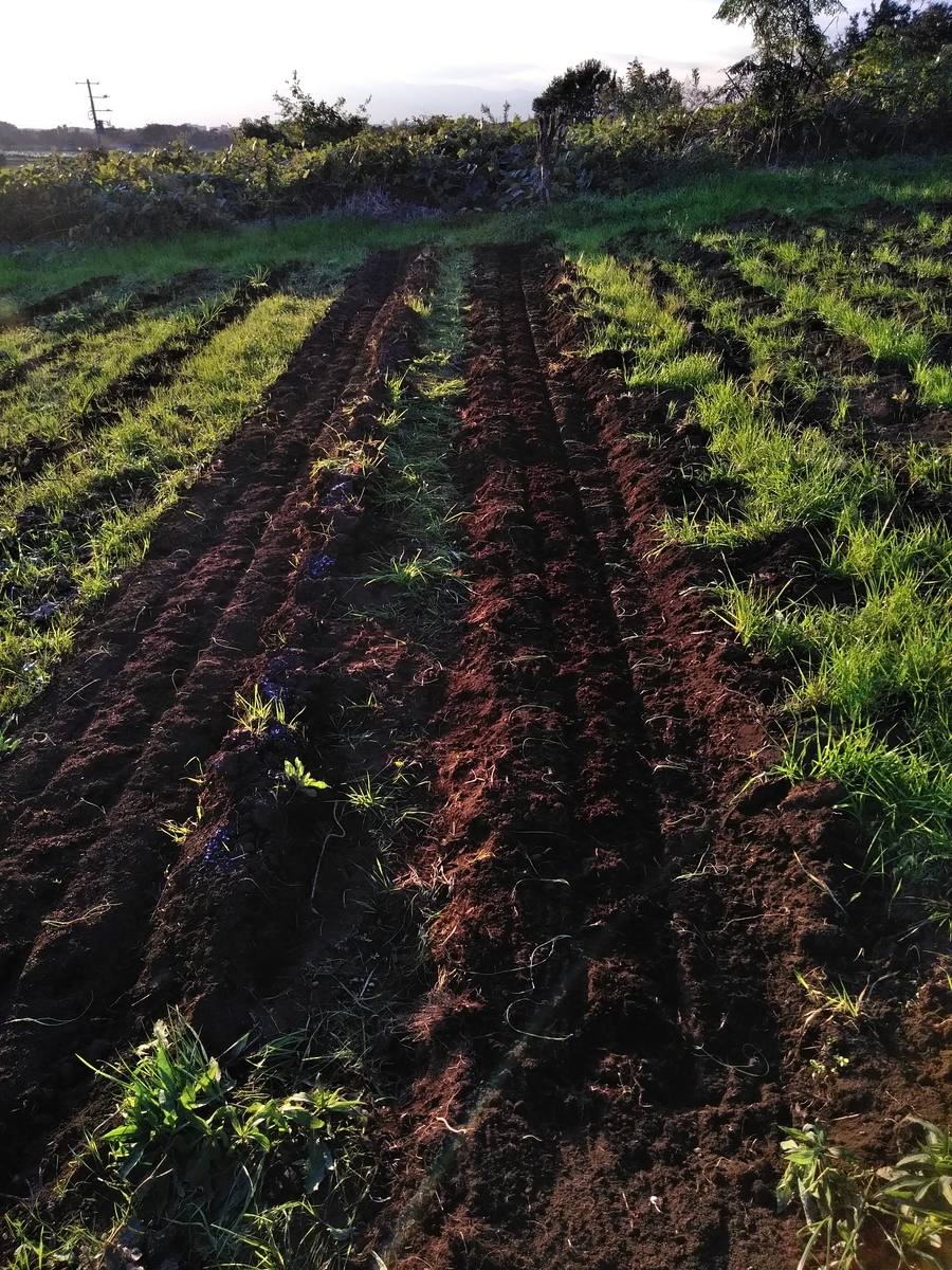 f:id:cskdm933:20191105171508j:plain