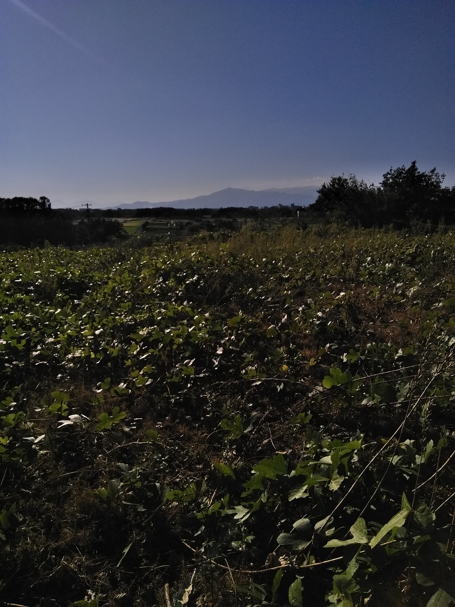 f:id:cskdm933:20191106181603j:plain