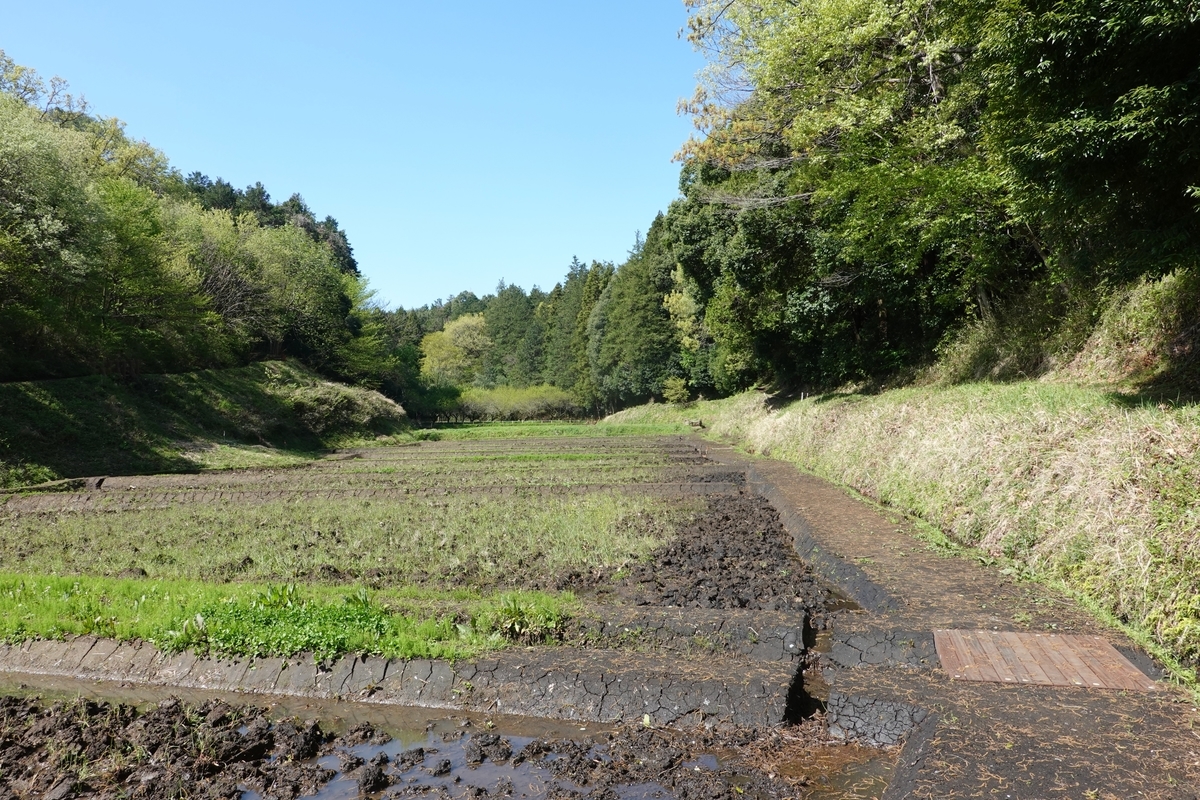 f:id:cskdm933:20200415082616j:plain