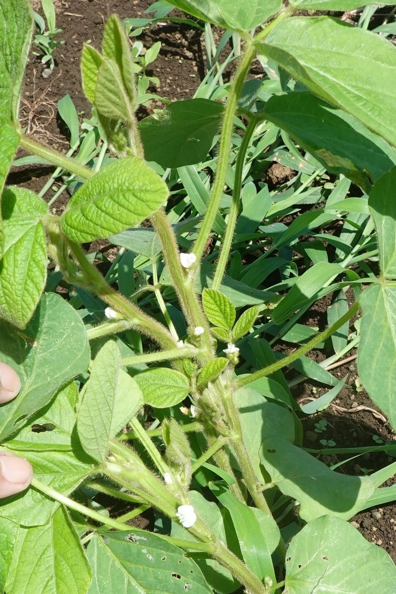 f:id:cskdm933:20200909072033j:plain f:id:cskdm933:20200909072033j:plain