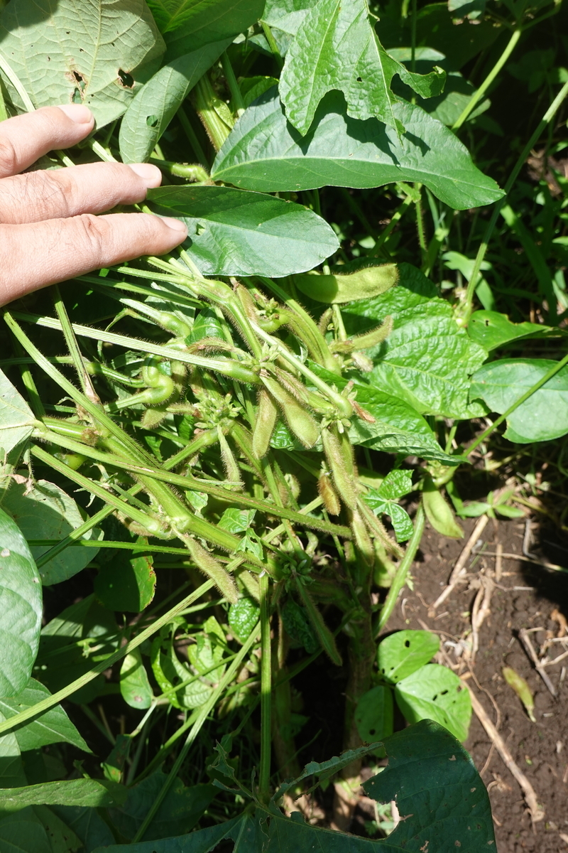 f:id:cskdm933:20200909074203j:plain f:id:cskdm933:20200909074203j:plain