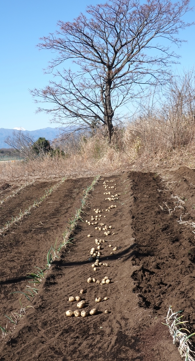 f:id:cskdm933:20210209221934j:plain