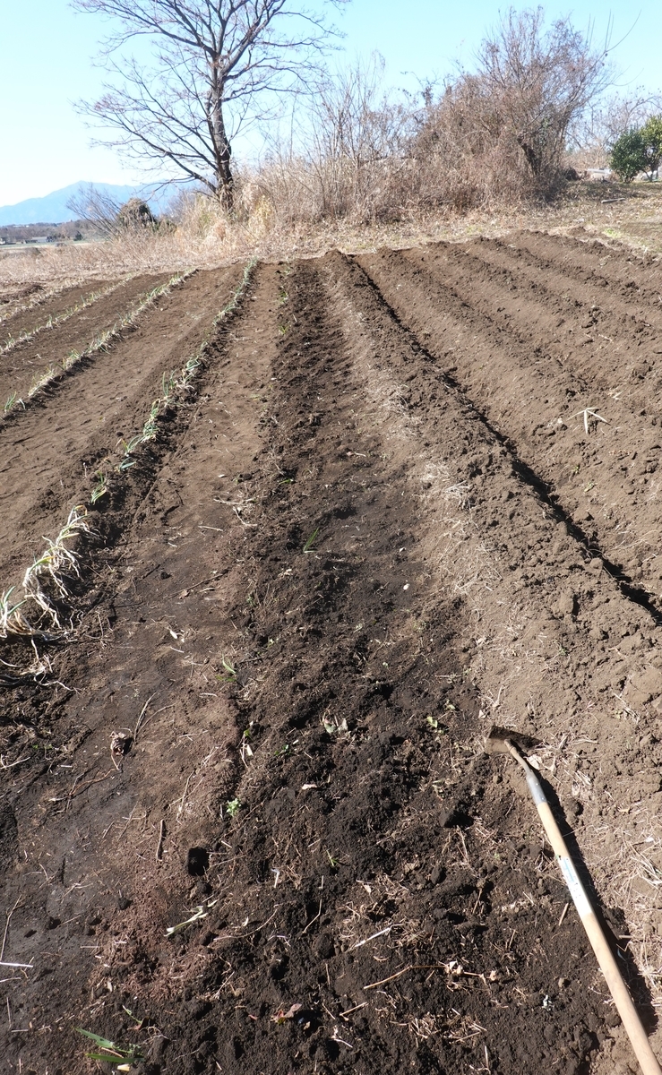 f:id:cskdm933:20210209222233j:plain