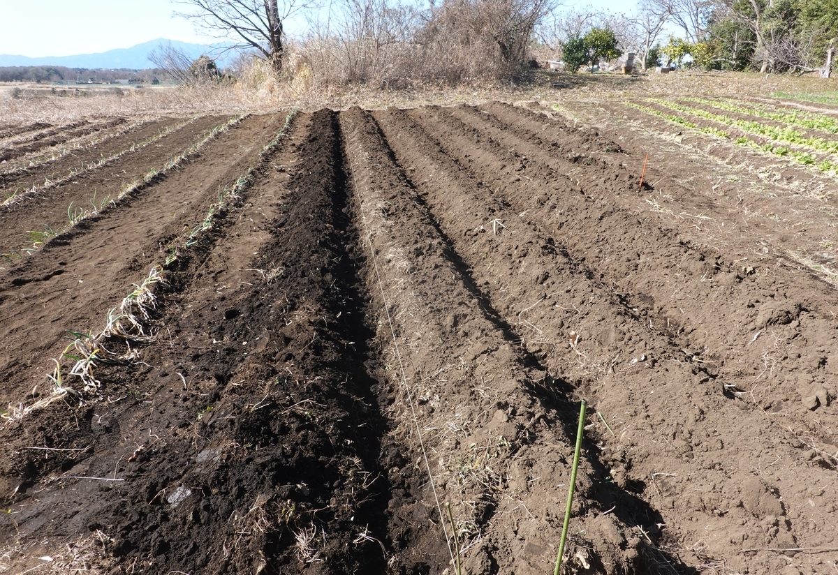 f:id:cskdm933:20210209222341j:plain