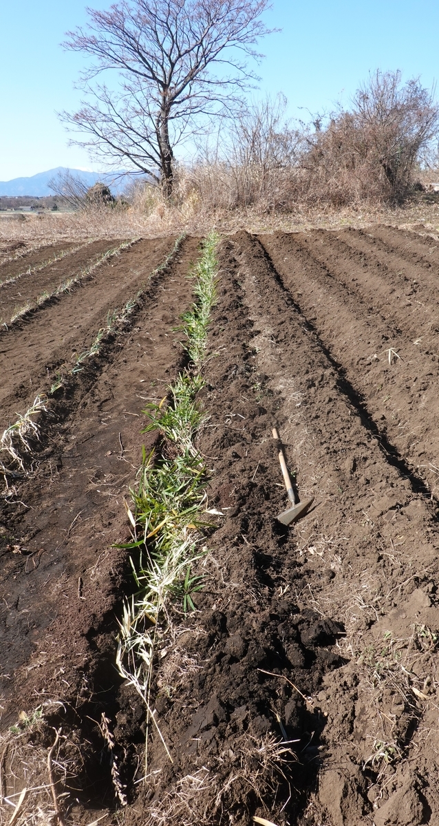 f:id:cskdm933:20210209222413j:plain