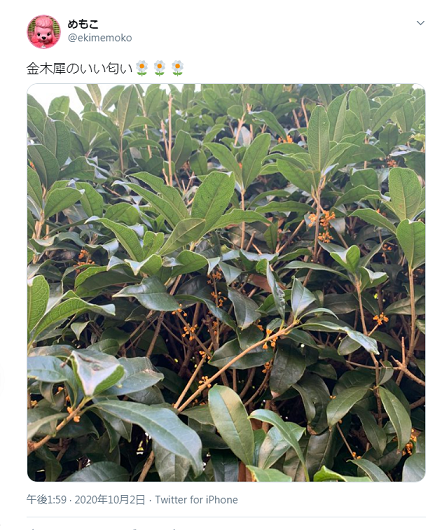 f:id:csmemoko:20201009152252p:plain