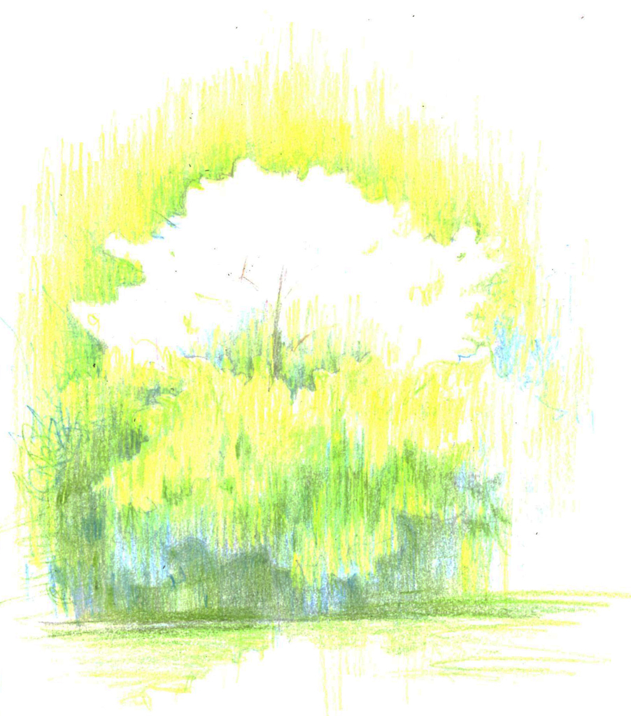 f:id:cspring:20190306200516j:plain