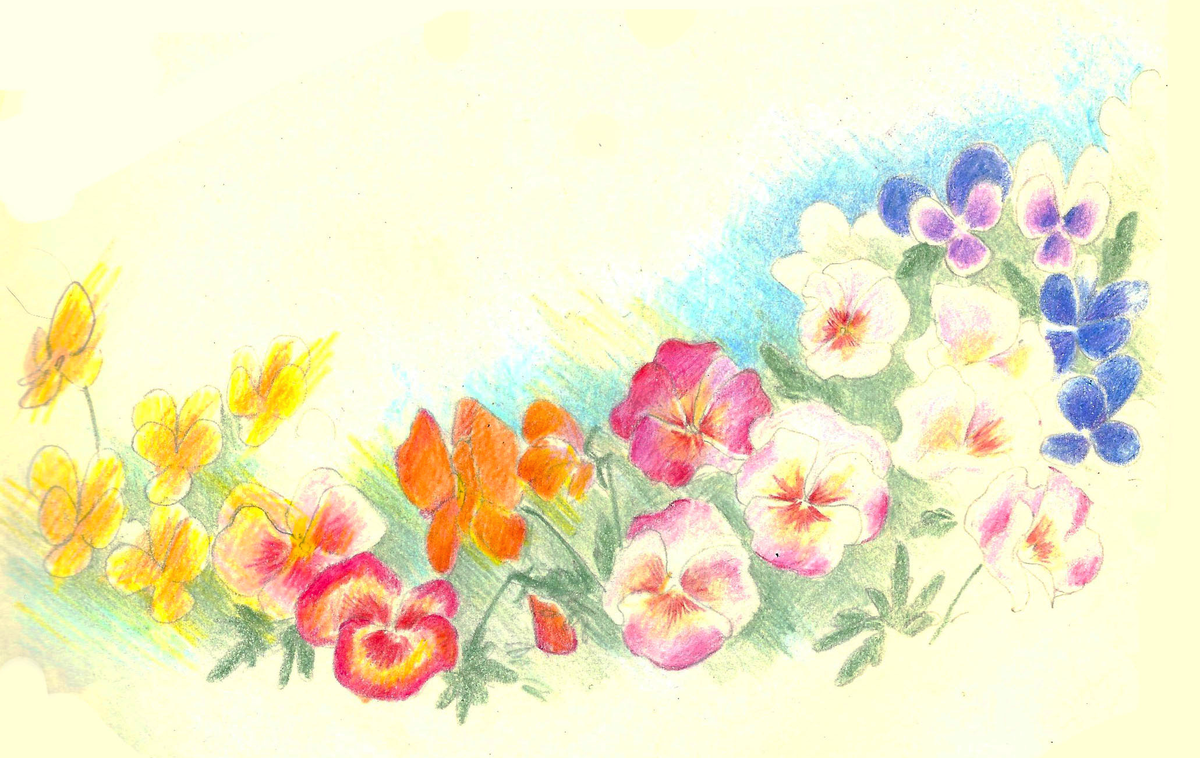 f:id:cspring:20190320222314p:plain