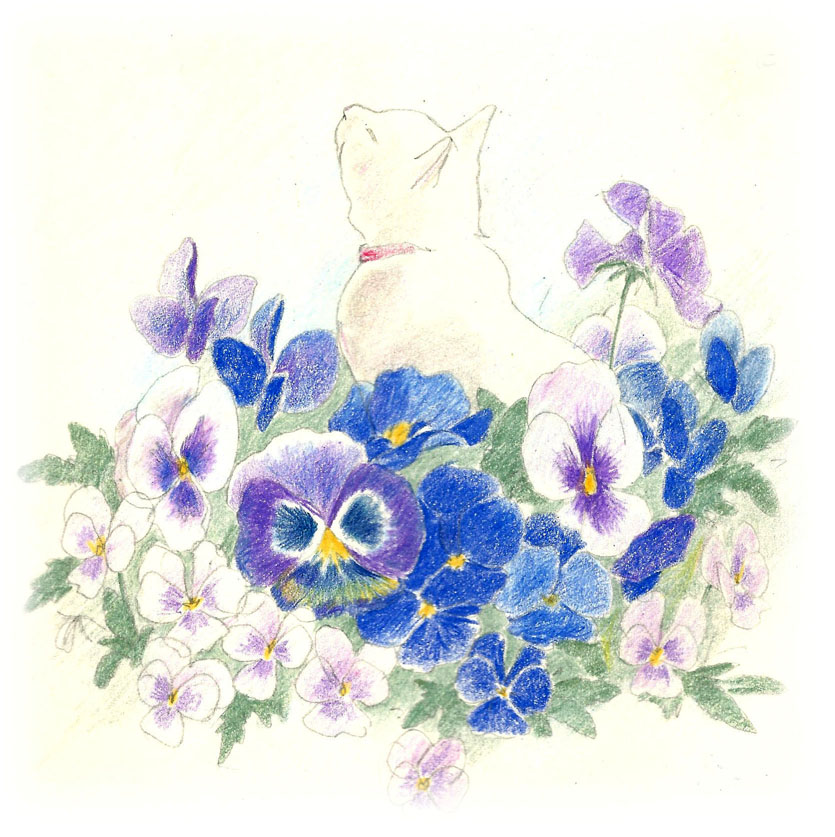 f:id:cspring:20190320224525j:plain